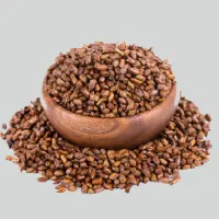 Cassia Tora Meal
