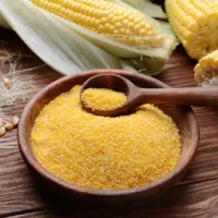 Corn DDGS