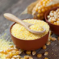 Corn Gluten Meal
