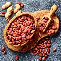 Groundnut Meal