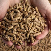 Poultry Feed Pellets
