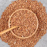 Rapeseed Meal