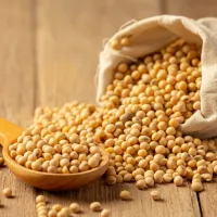 Soyabean Meal